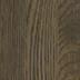 Shiitake